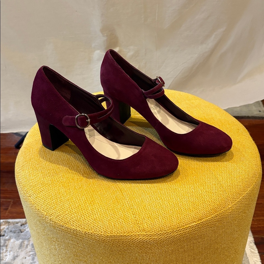 Alfani Burgundy Suede Heels